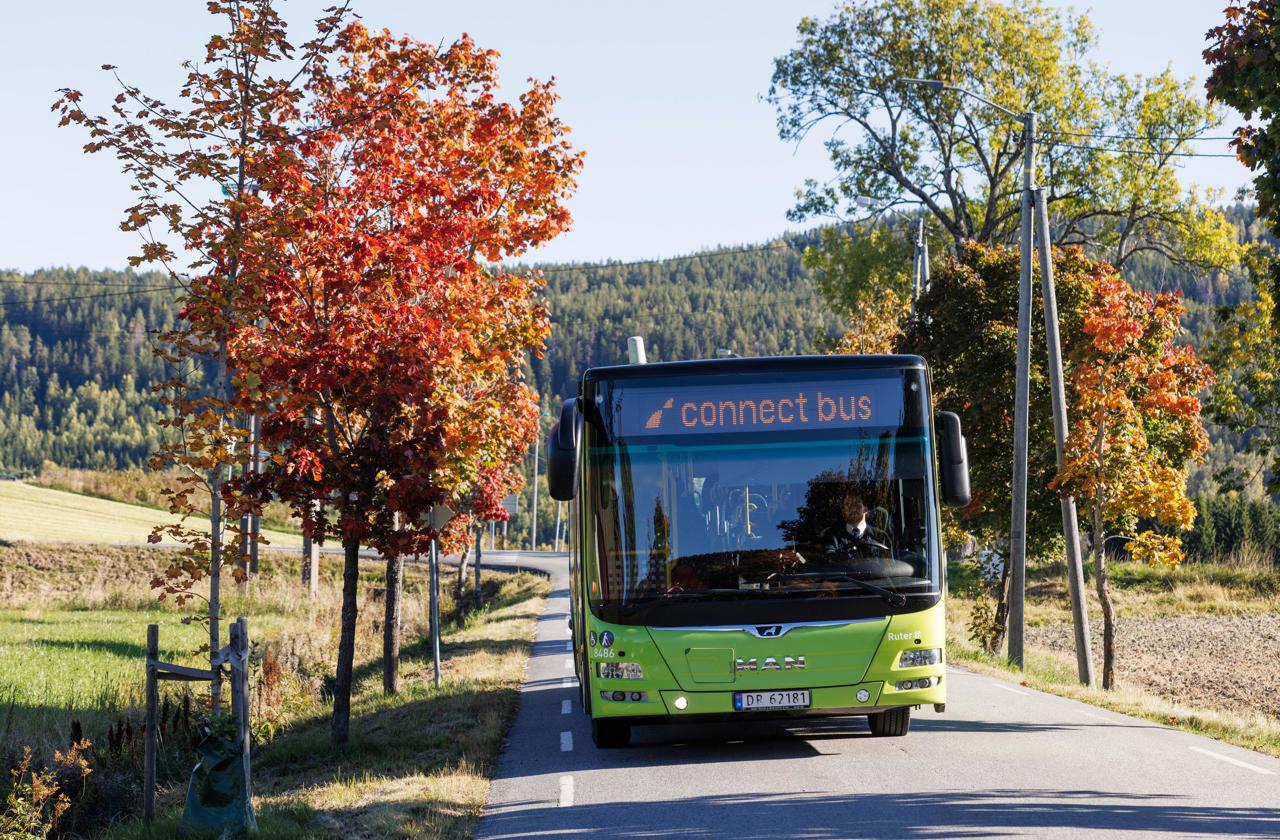 Buss kjører i naturen